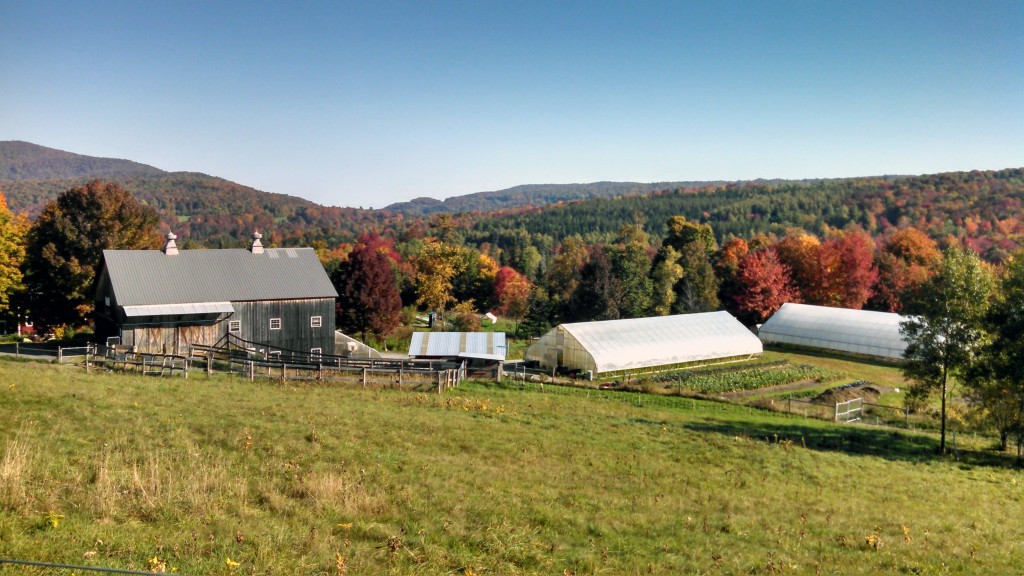 Farm in Fall Foliage