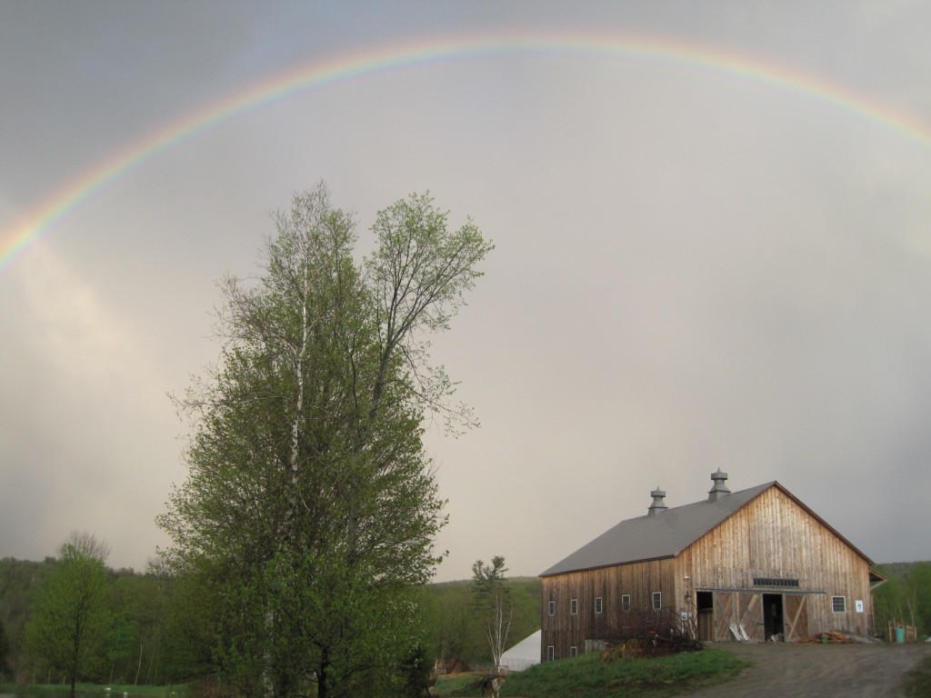 Rainbow over the Barn