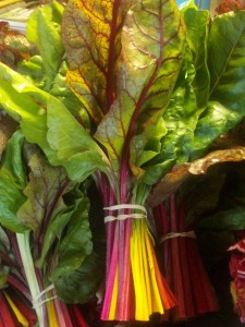 Rainbow Chard