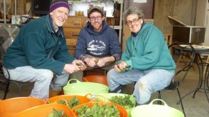 Yes, in week one he already recruited additional family members (parents Larry & Helen) to help trim spinach!  