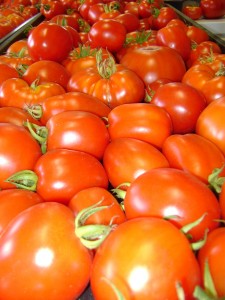 tray of tomatoes