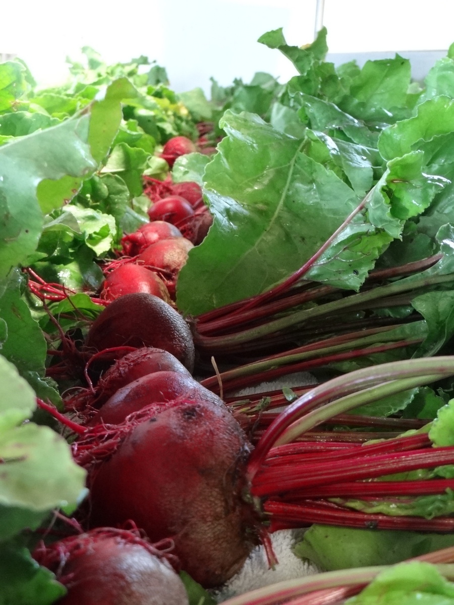 beets-with-greens