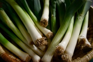 Leeks by Rose Wall