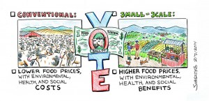 food voting cartoon by anna svagzdys