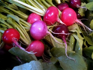 round radishes