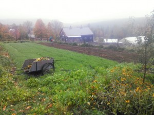 wide angle spreading cover crop in rain