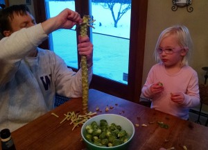 Popping sprouts from the stalk family fun