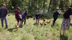 northfield farm systems class