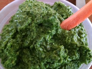 raw kale pesto as dip