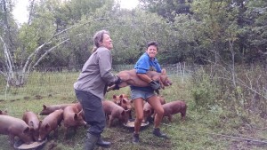 catching piglets for bread and butter