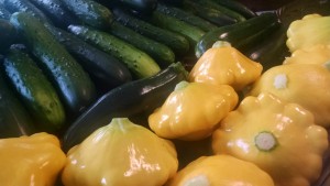 summer squash