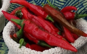 cayenne peppers