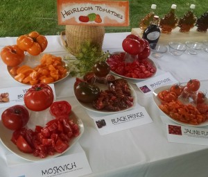 heirloom tomato display