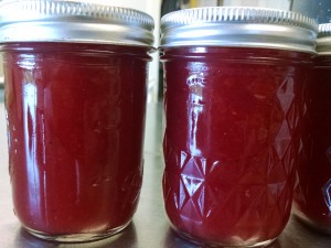 plum crabapple sauce