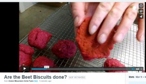 beet biscuit tapping are they done video