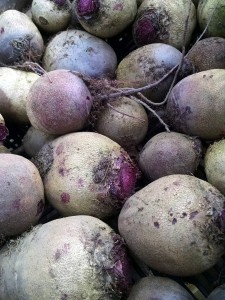 big beets at harvest