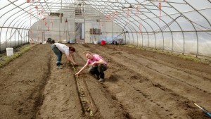 hannah darienne staff planting hoohouse paperpot