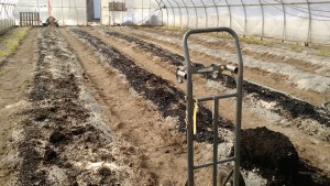 hoophouse with rock dust and biochar