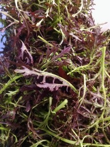 purple mizuna salad greens
