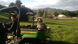 chloe driving gator with uno