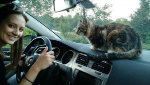 chloe driving with hop