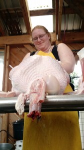 turkey-processing-penelope-with-turkey