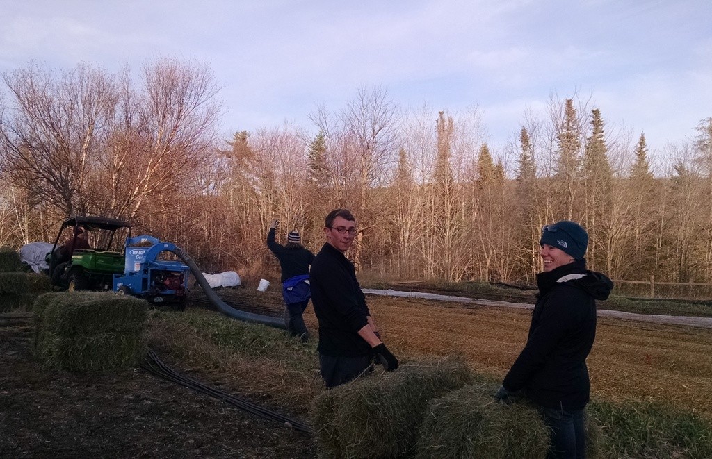 mulching-garlic-with-cousins-and-mari