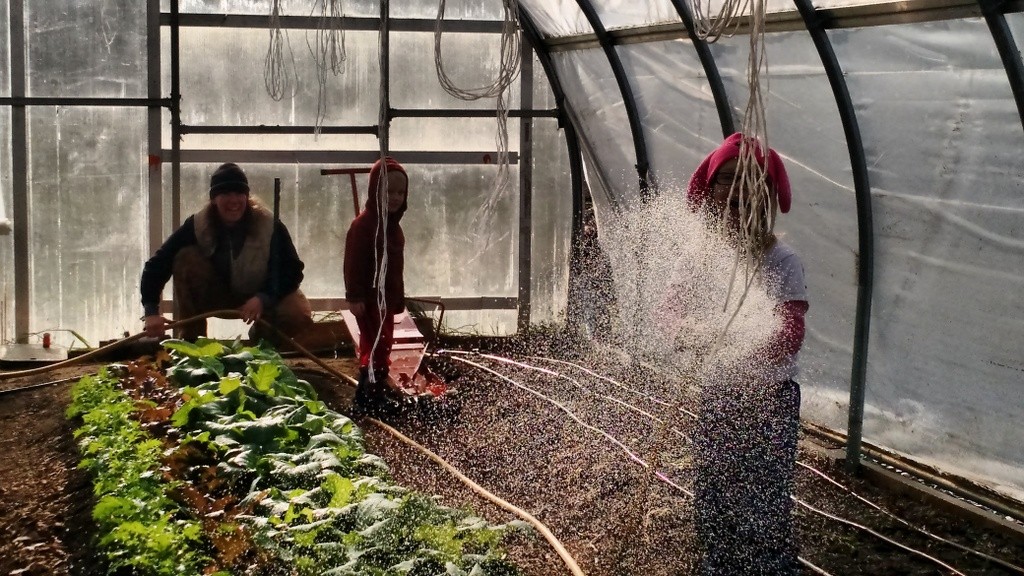 young-cousins-watering-phoebe-aron