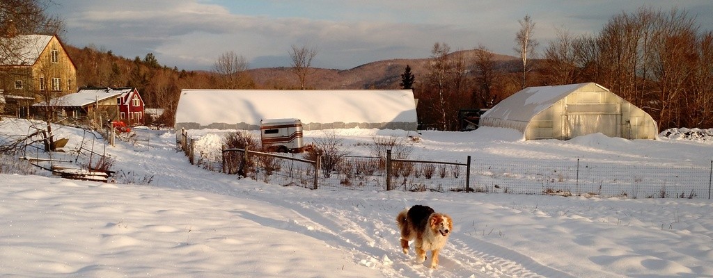 snowy-winter-farm-hoophouse