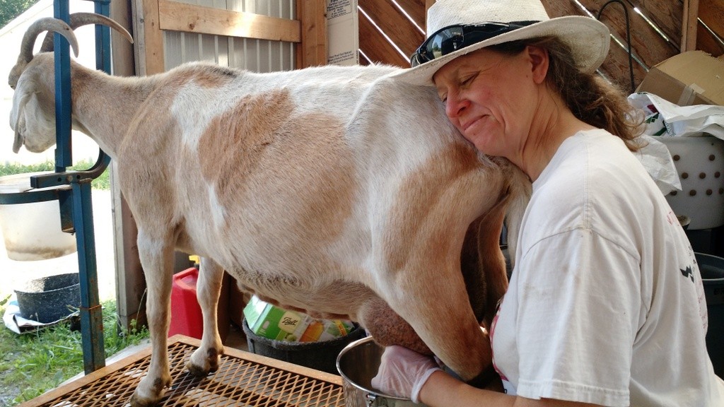 Laura and grace last month for the goats