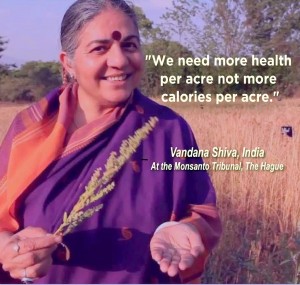 shiva health per acre with photo