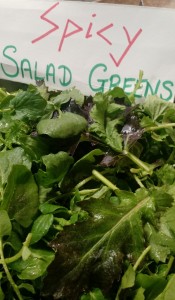 spicy salad greens