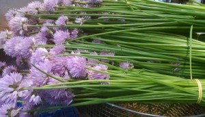 chive blossoms