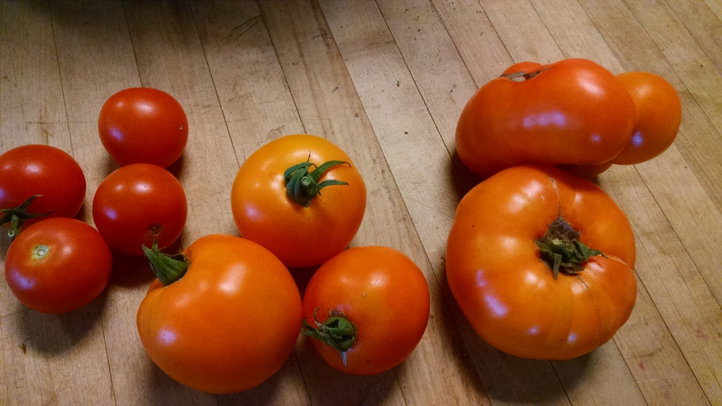 Slicer Tomato, Rose De Berne